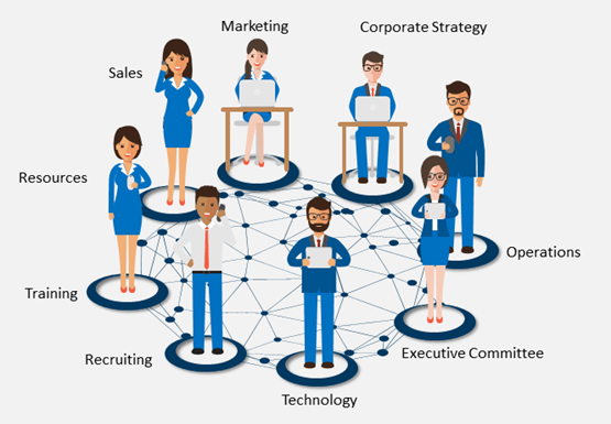 What Are Cross-Functional Teams?
